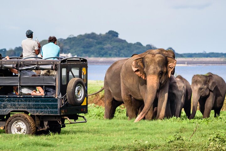 Safari from Ambalangoda