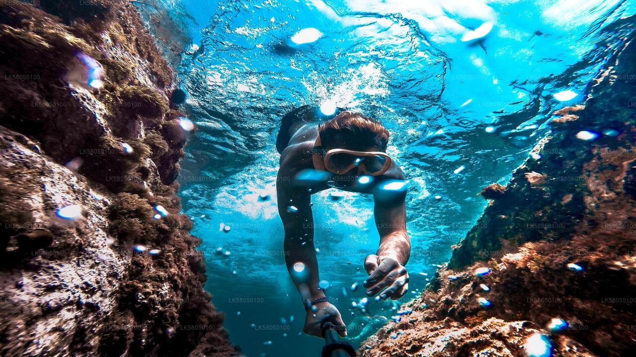 Snorkeling from Trincomalee