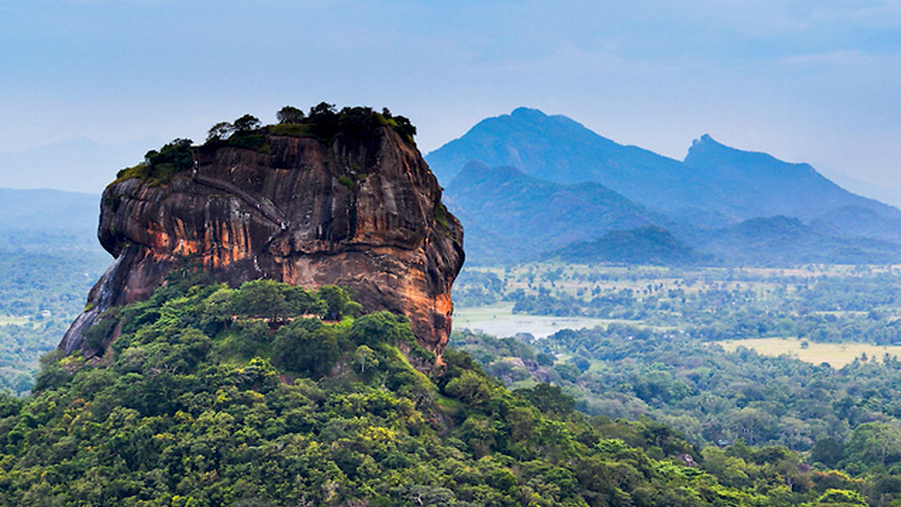 Day Tours from Dambulla