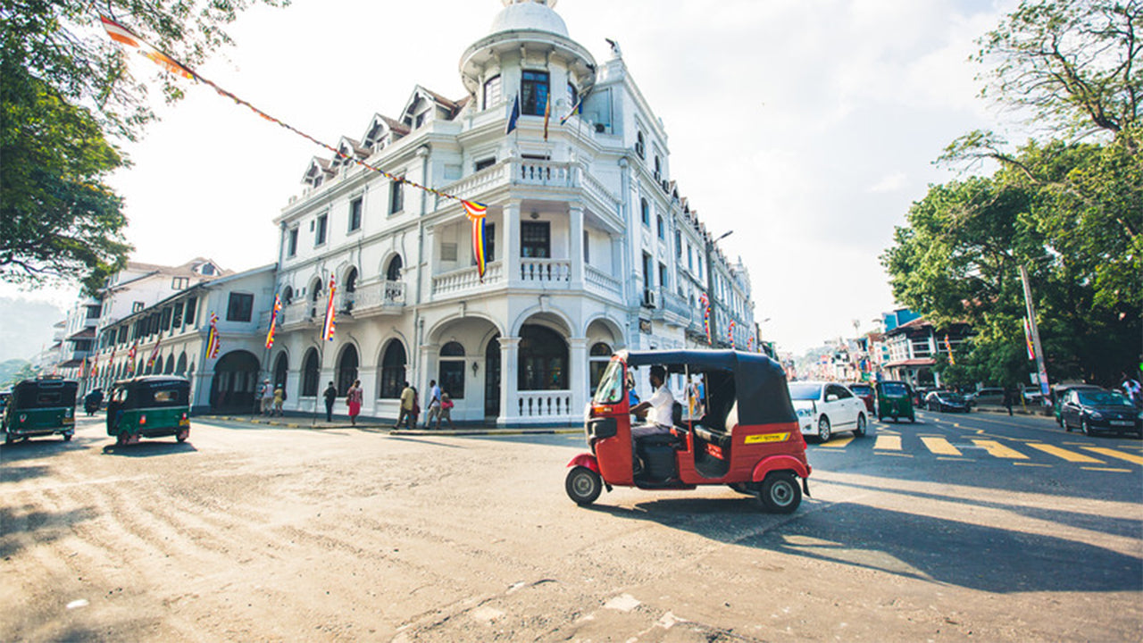 Day Tours from Kandy