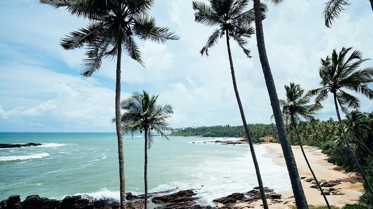 Activities from Tangalle