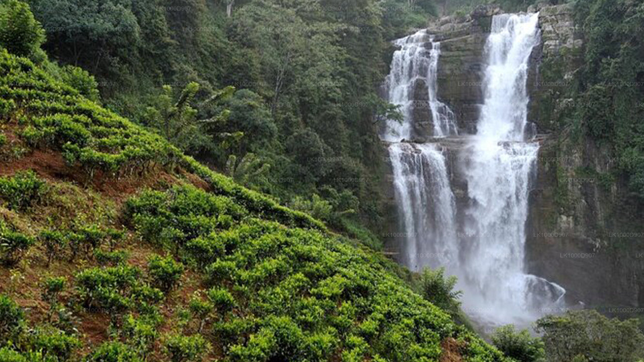 Meditation & Music Therapy at Polgahaamuna Waterfall