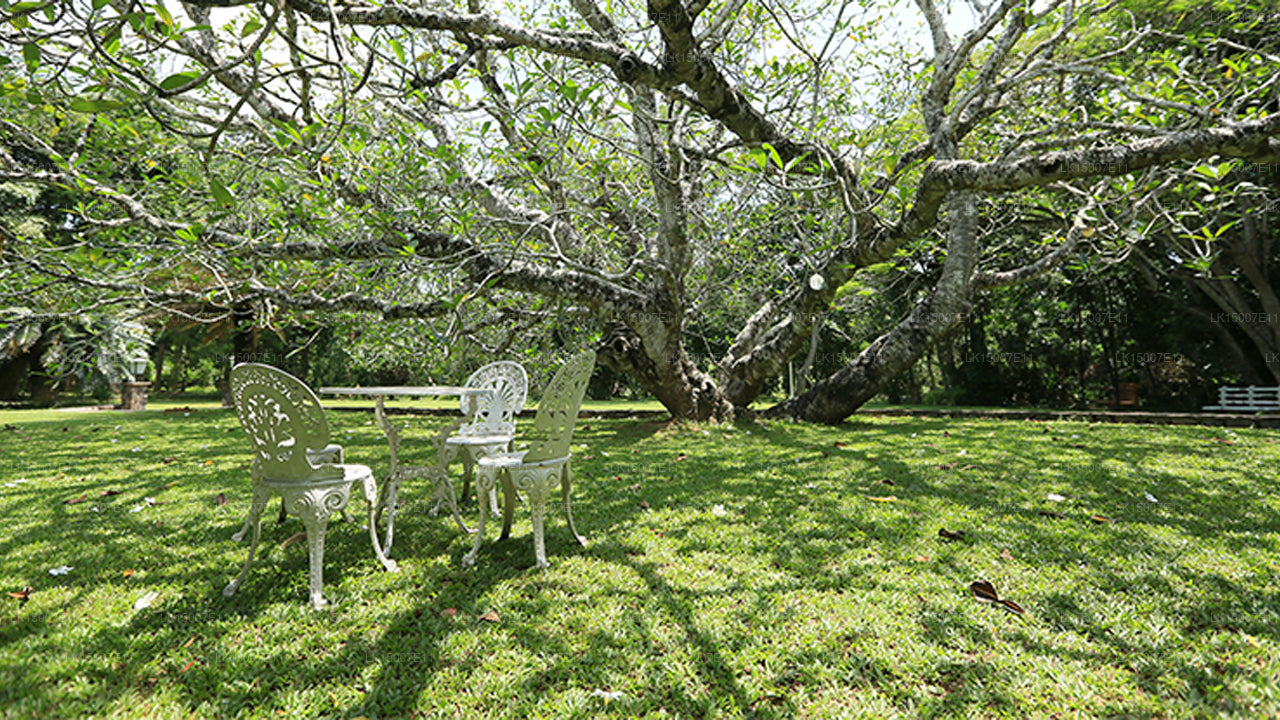 Domaine Horathapola, Kurunegala