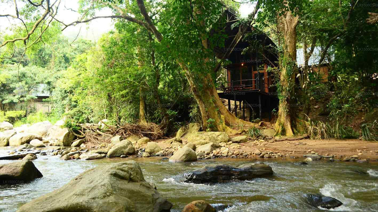 Ella Jungle Resort, Ella