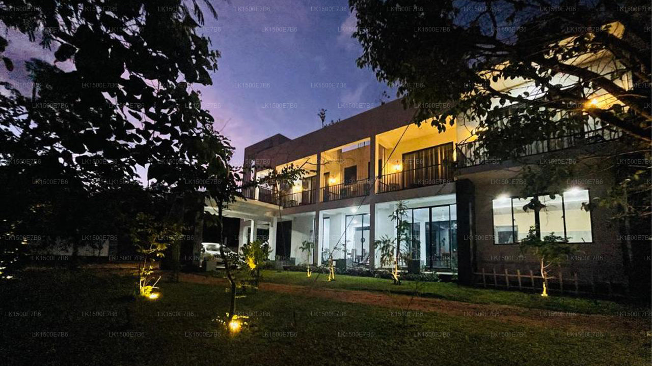 Hôtel Black Mustang, Dambulla