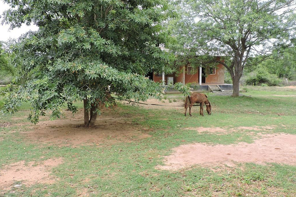 Complexe hôtelier Aranya, Yala