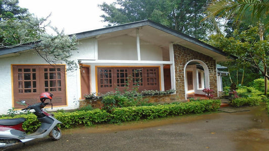 Dell Holiday Home