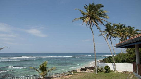 Cabanes de plage Lace Rock, Ahangama