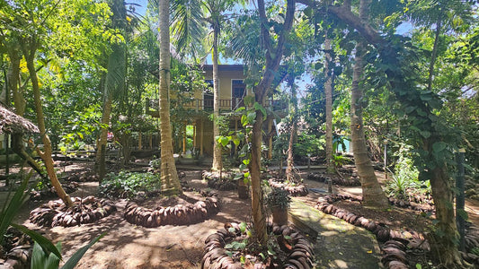 Ayurveda Kuma Villa