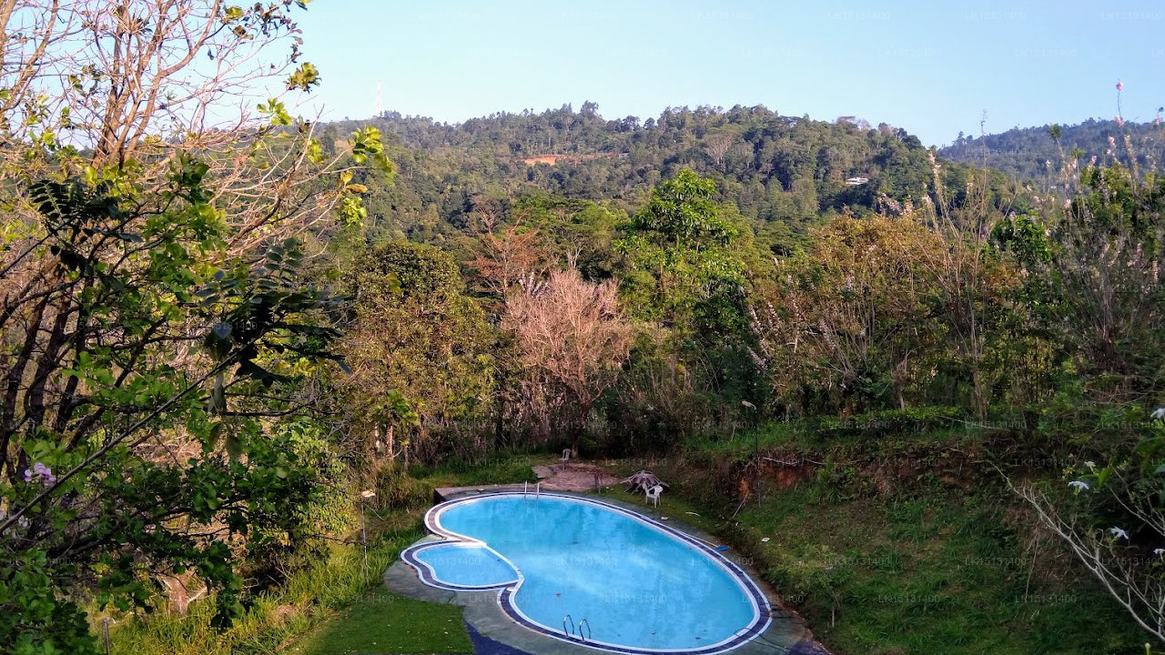 Hotel Bin - Vino, Gampola