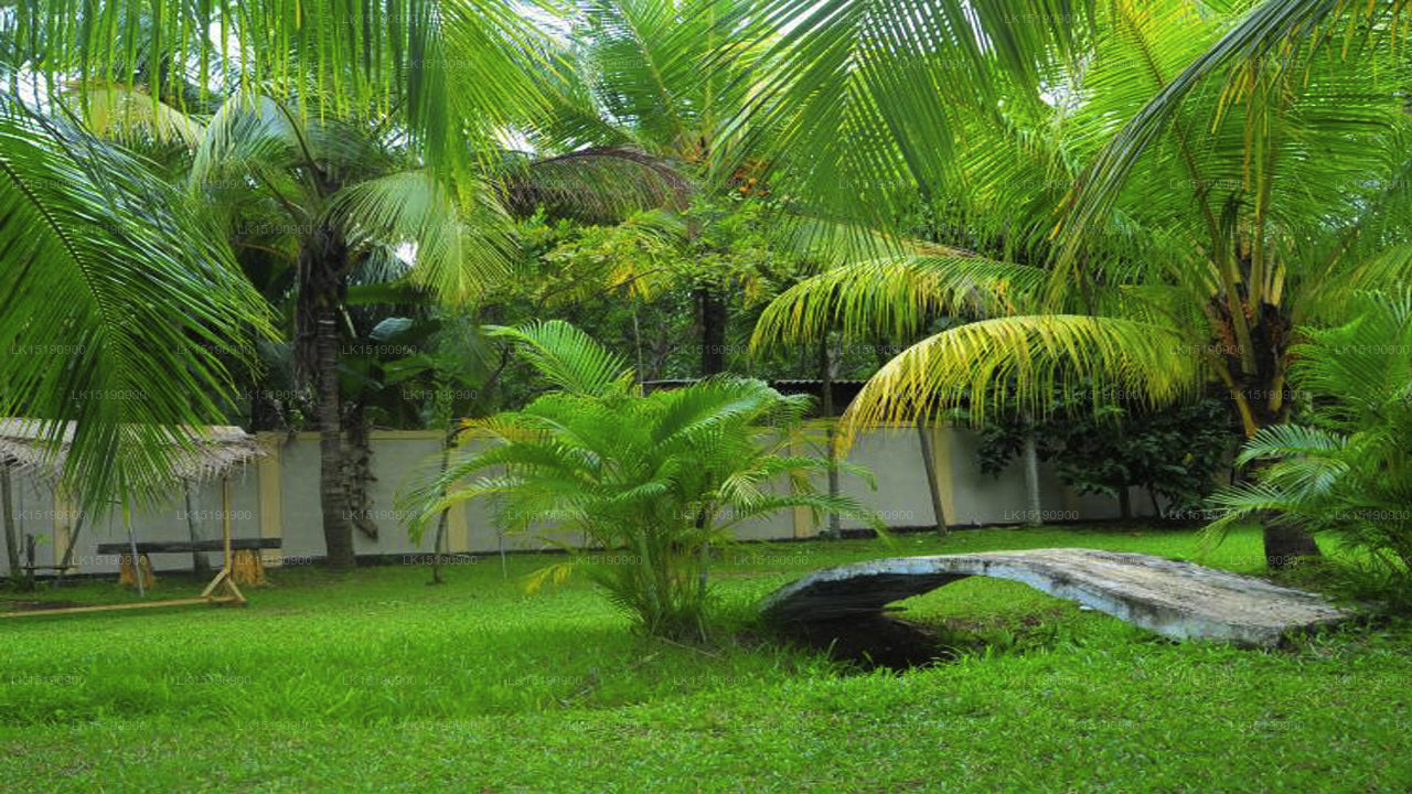 Happy Leoni Hotel, Anuradhapura