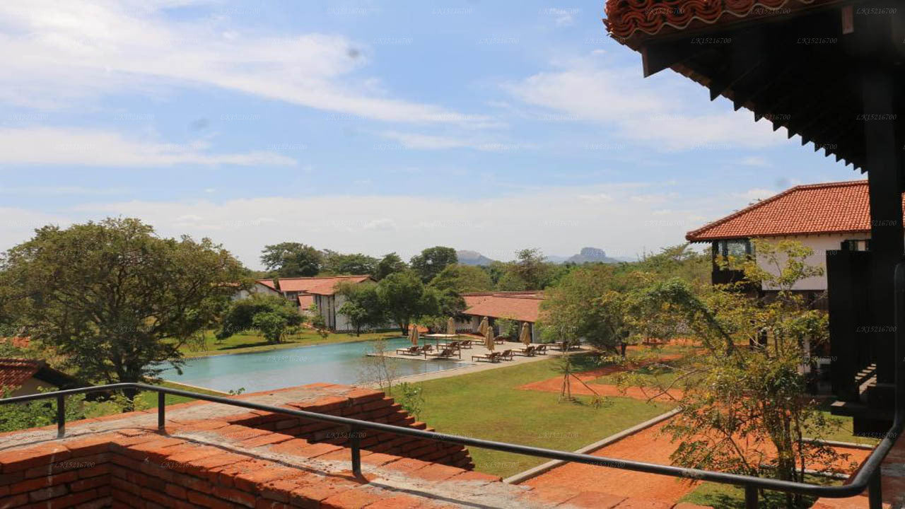 Sigiriya Jungles, Sigiriya