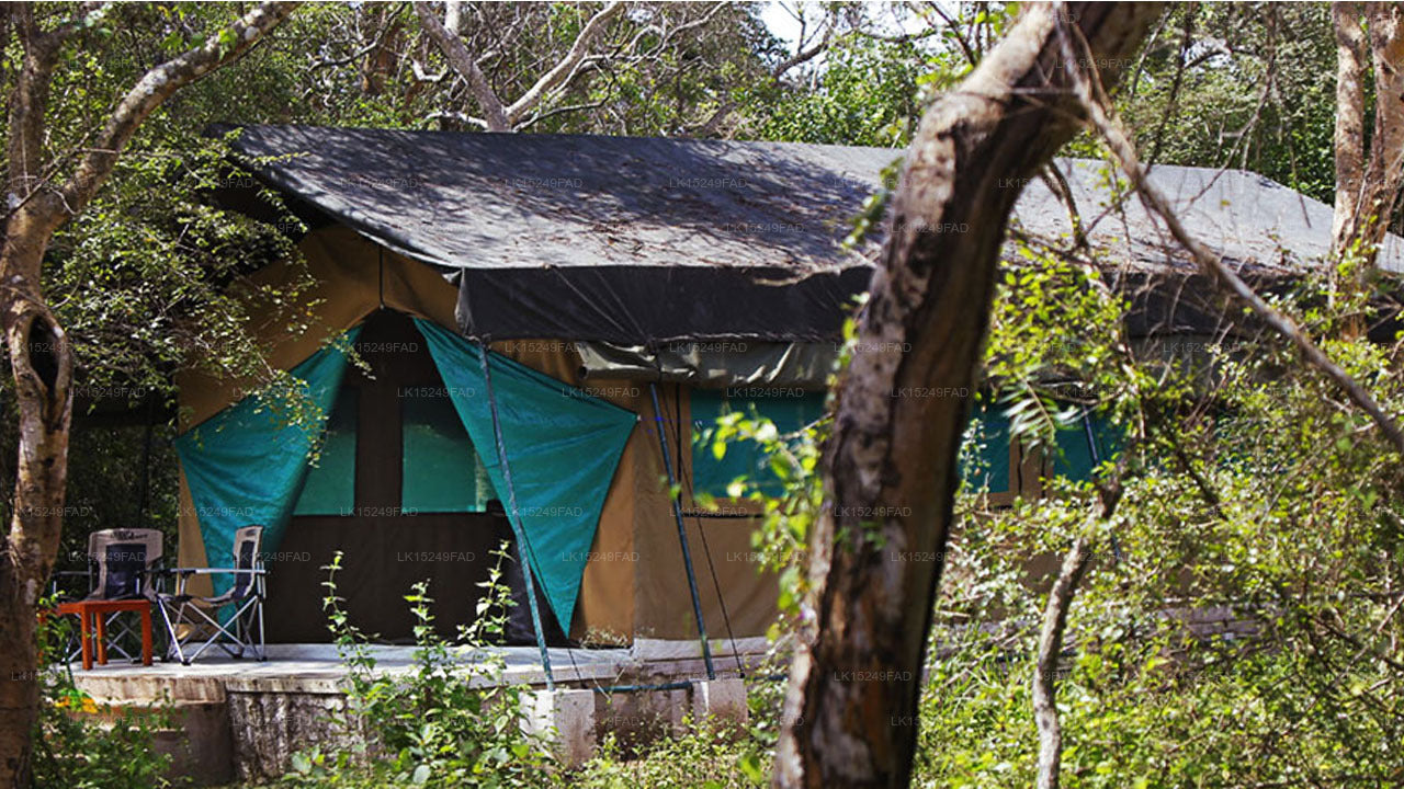 Camp de safari de Wilpattu, Wilpattu