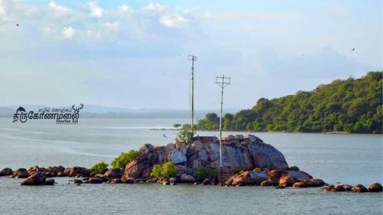 Maison de plage Uppuveli, Trincomalee