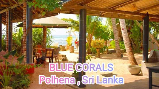 Blue Corals Beach Bungalow