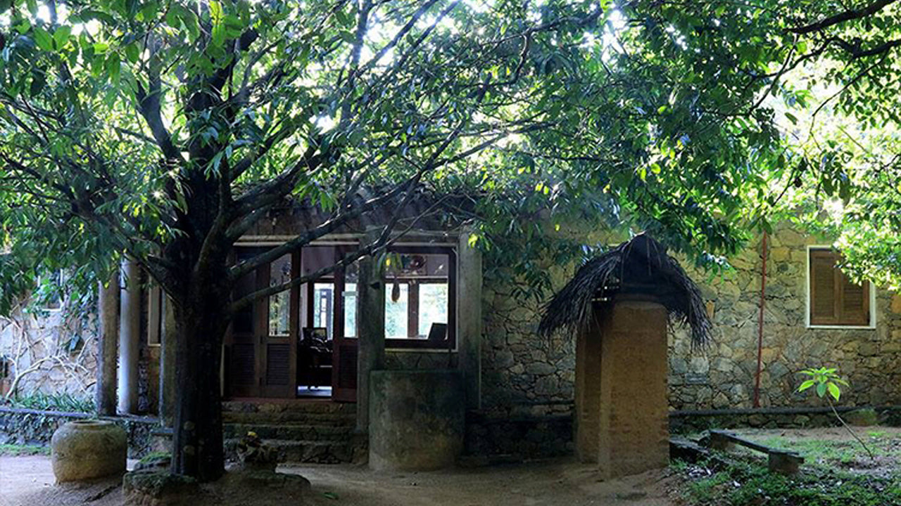 Arboretum de Popham, Dambulla