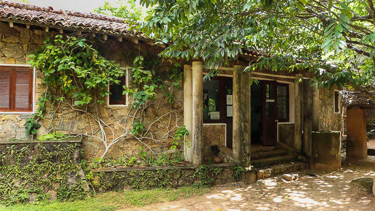 Arboretum de Popham, Dambulla