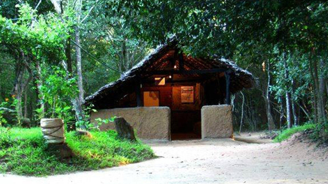 Arboretum de Popham, Dambulla