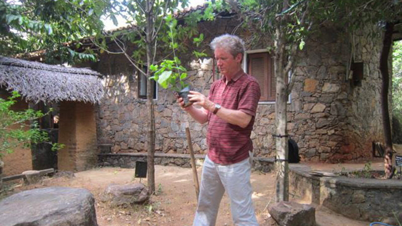 Arboretum de Popham, Dambulla