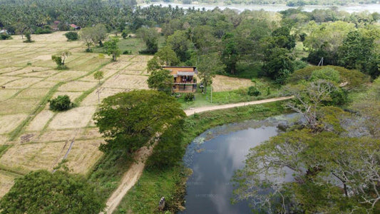 Le loft au bord du lac, Kurunegala