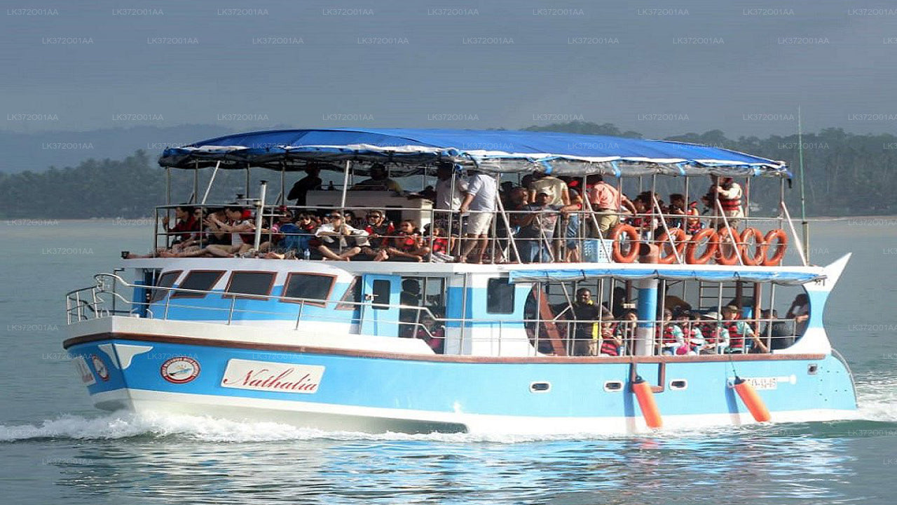 Excursion en bateau partagé pour observer les baleines au départ de Bentota