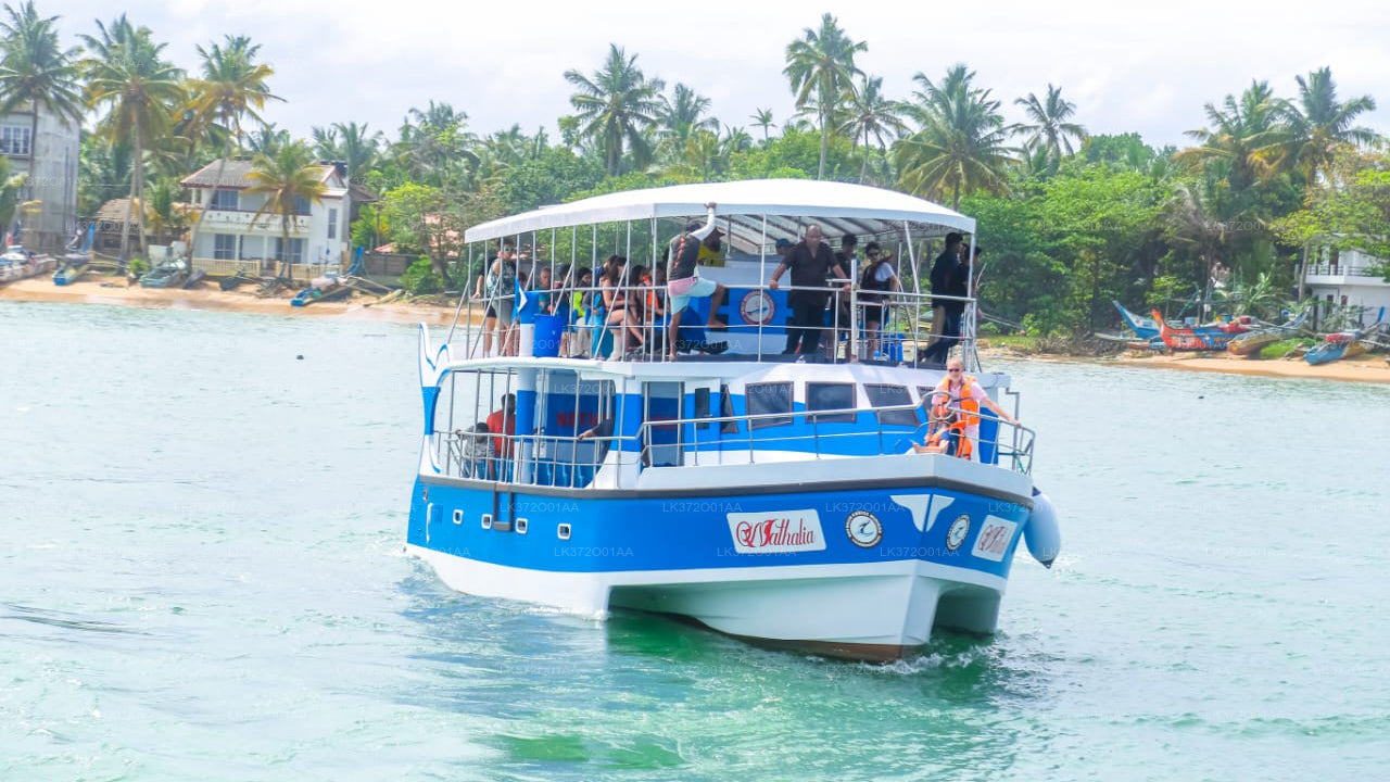 Whale Watching from Hiriketiya on Shared Boat