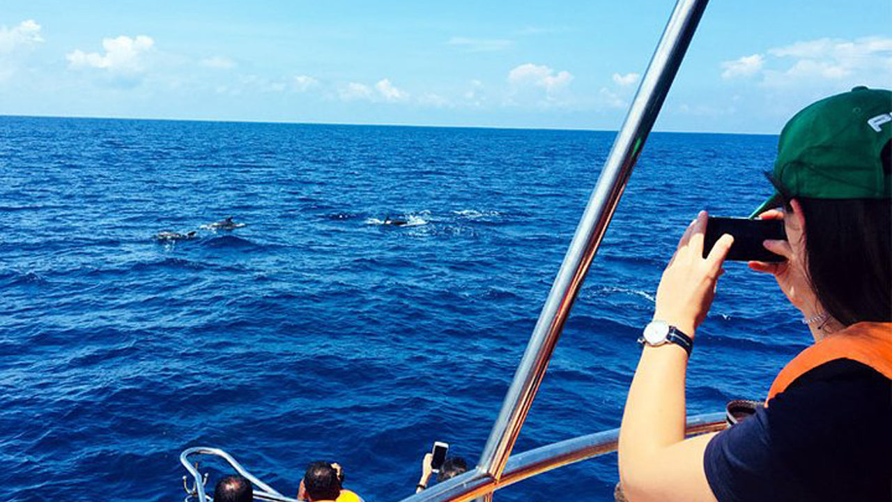 Croisière en yacht de 2 heures au départ de Mirissa