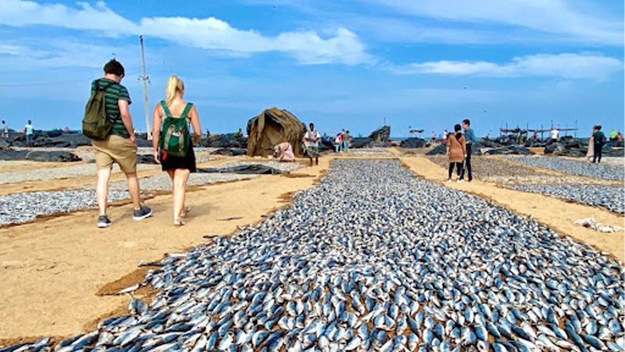 Visite de la ville de Negombo au départ de Colombo