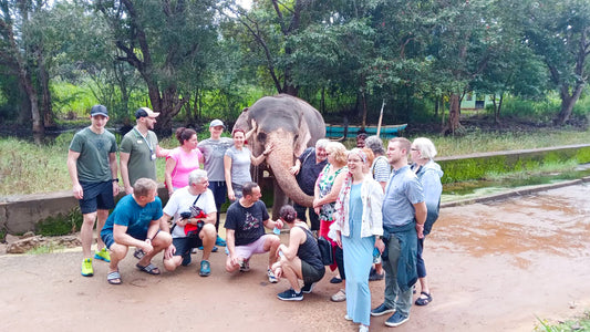Safari à dos d'éléphant depuis Habarana