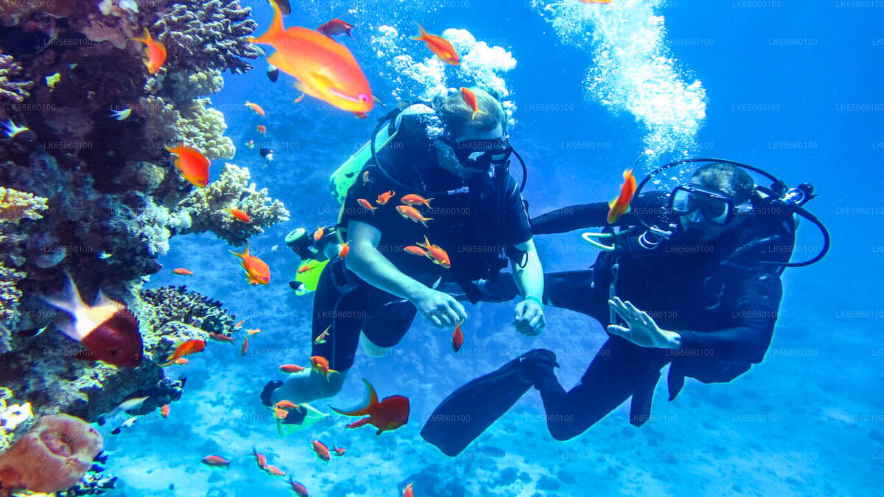 PADI Certificate Open Water Diving Course from Bentota