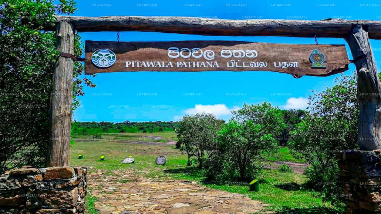 Pitawala Pathana Entrance Tickets