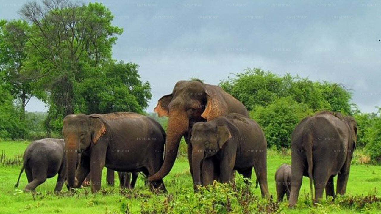 Billets d'entrée au parc écologique Hurulu