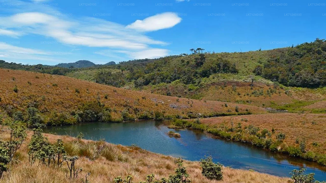 Horton Plains National Park Entrance Ticket