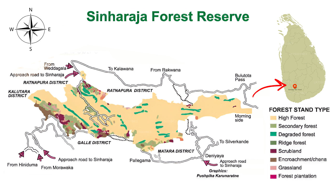 Observation des oiseaux depuis la forêt tropicale de Sinharaja