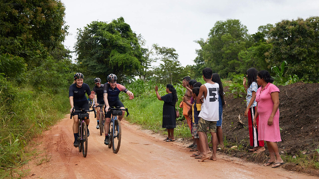 Adventure Mountain Biking from Kandy