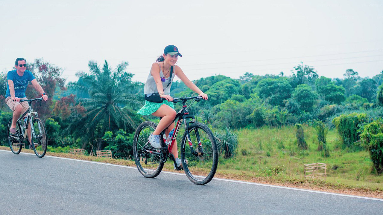 Balade à vélo amusante en famille au départ de Galle