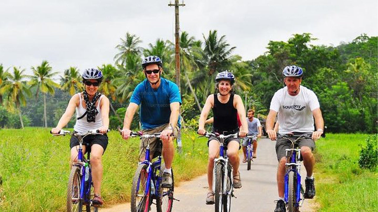 Balade à vélo amusante en famille au départ de Galle