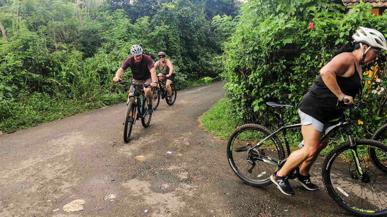 Balade à vélo amusante en famille au départ de Galle