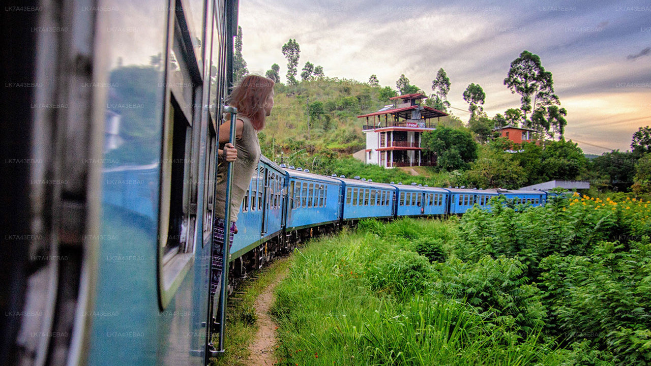 Réservation de billets de train de Kandy à Ella, Nanu Oya et Badulla