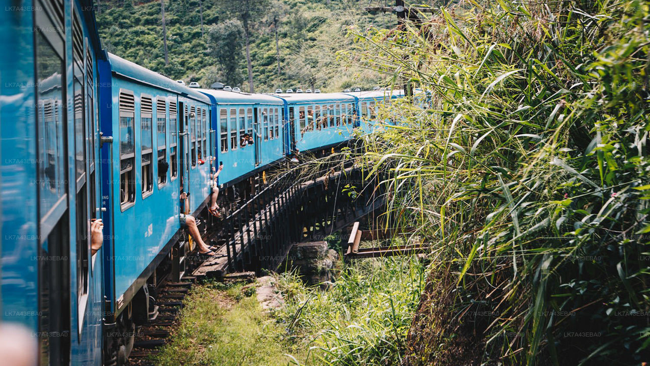 Réservation de billets de train de Kandy à Ella, Nanu Oya et Badulla