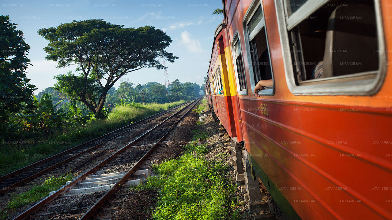 Réservation de billets de train de Kandy à Ella, Nanu Oya et Badulla