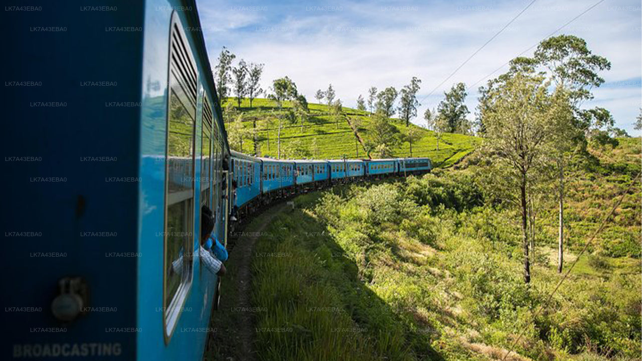 Réservation de billets de train de Kandy à Ella, Nanu Oya et Badulla