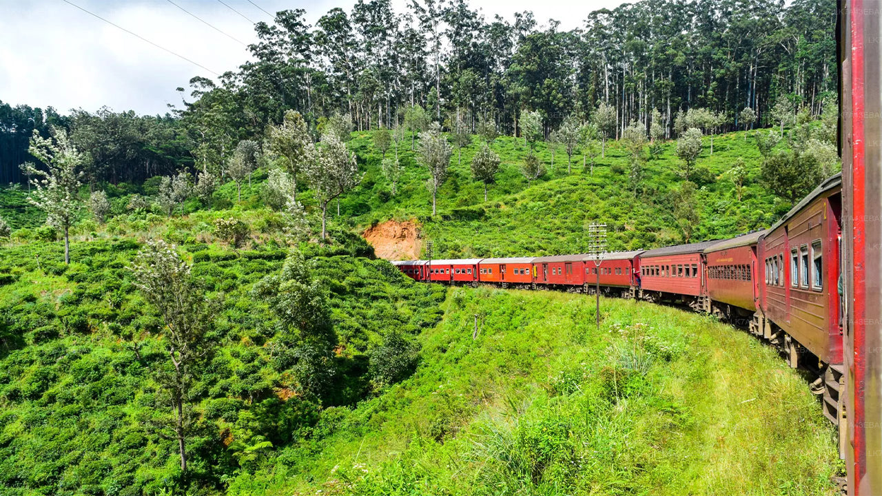 Réservation de billets de train de Kandy à Ella, Nanu Oya et Badulla