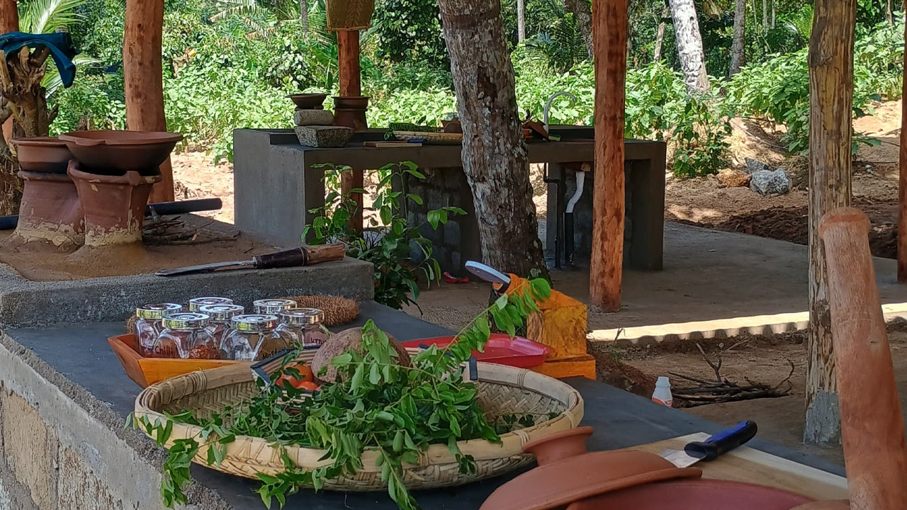 Découvrez la biodiversité à la ferme fruitière de Midigama