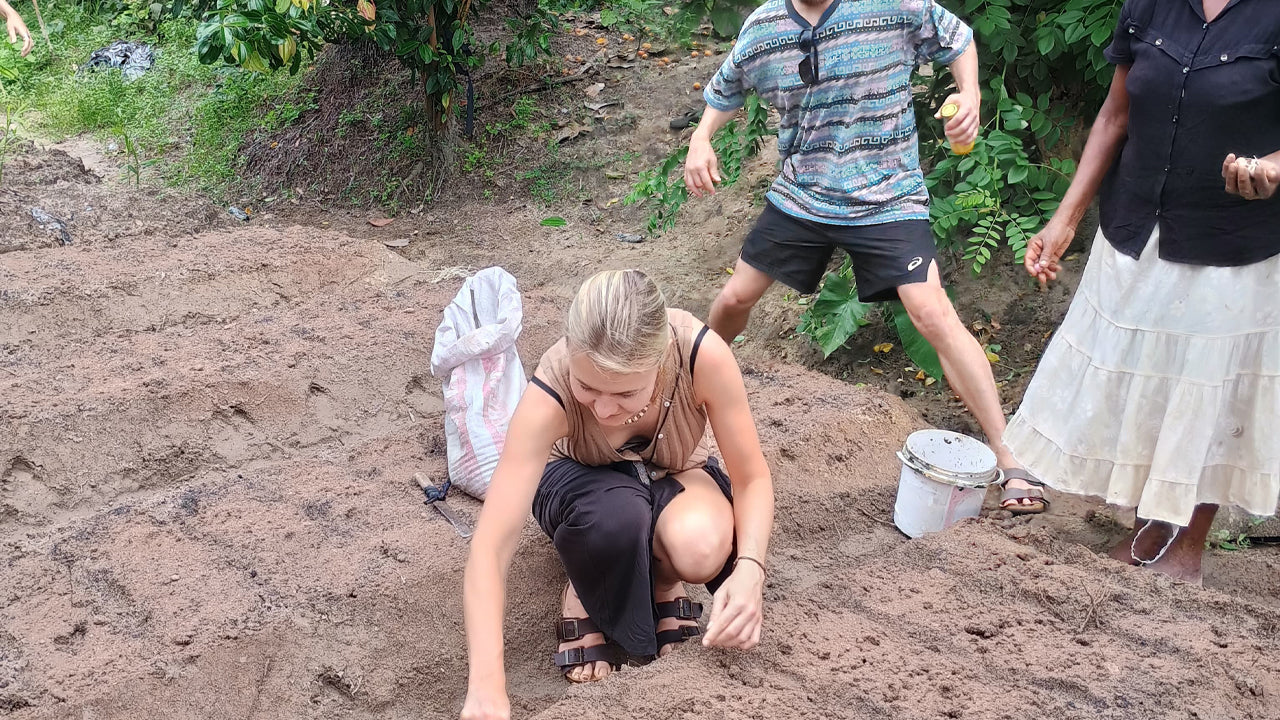 Découvrez la biodiversité à la ferme fruitière de Midigama