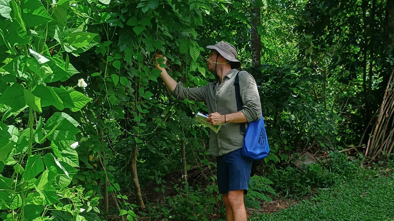 Découvrez la biodiversité à la ferme fruitière de Midigama