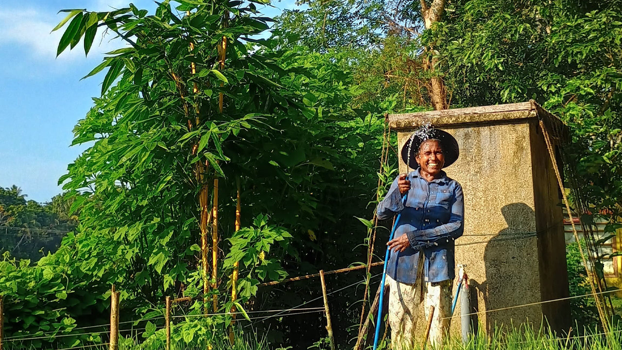 Découvrez la biodiversité à la ferme fruitière de Midigama