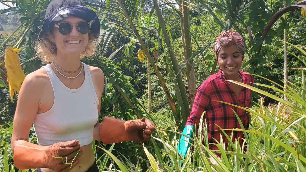 Découvrez la biodiversité à la ferme fruitière de Midigama