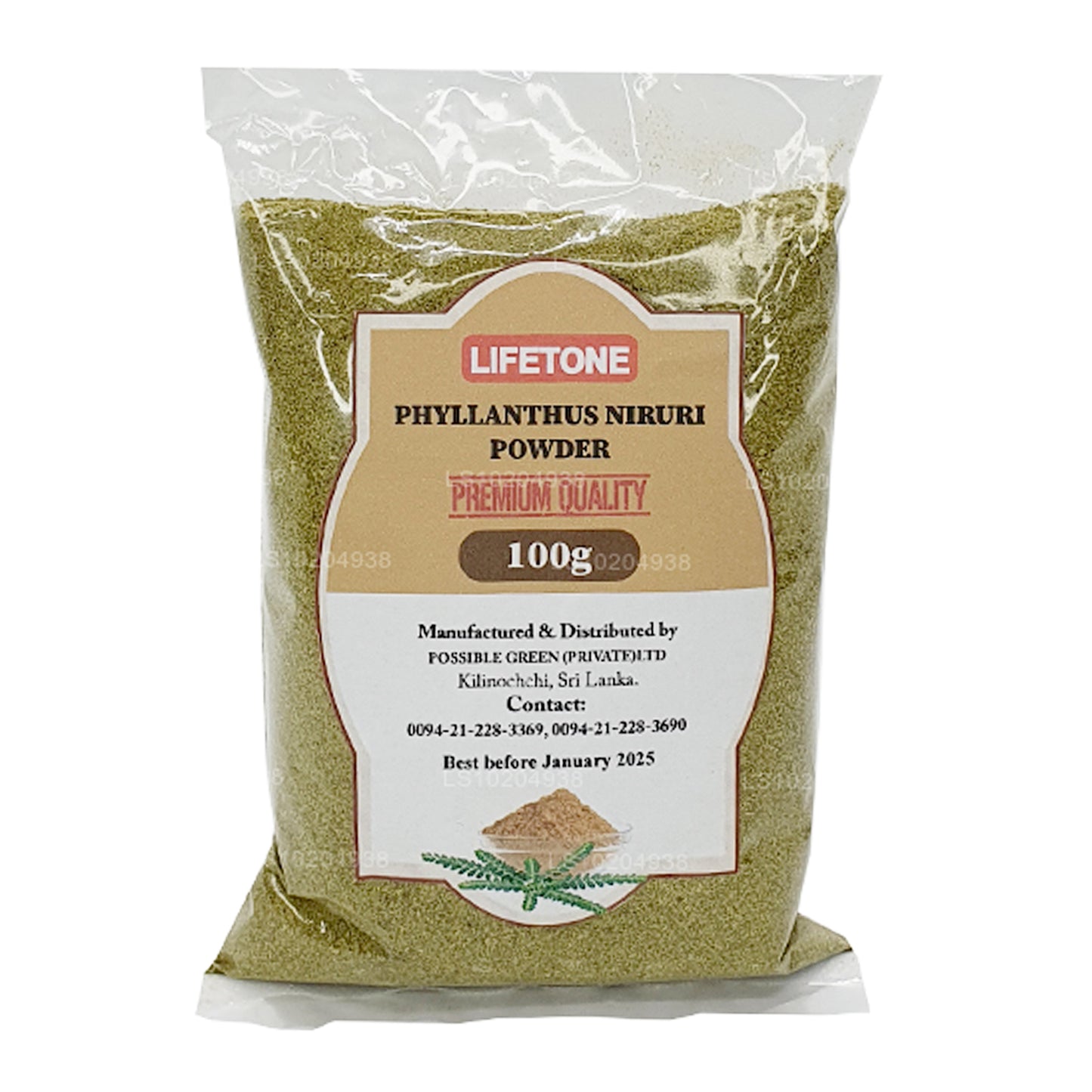 Lifetone Phylanthus Niruri en poudre (100 g)