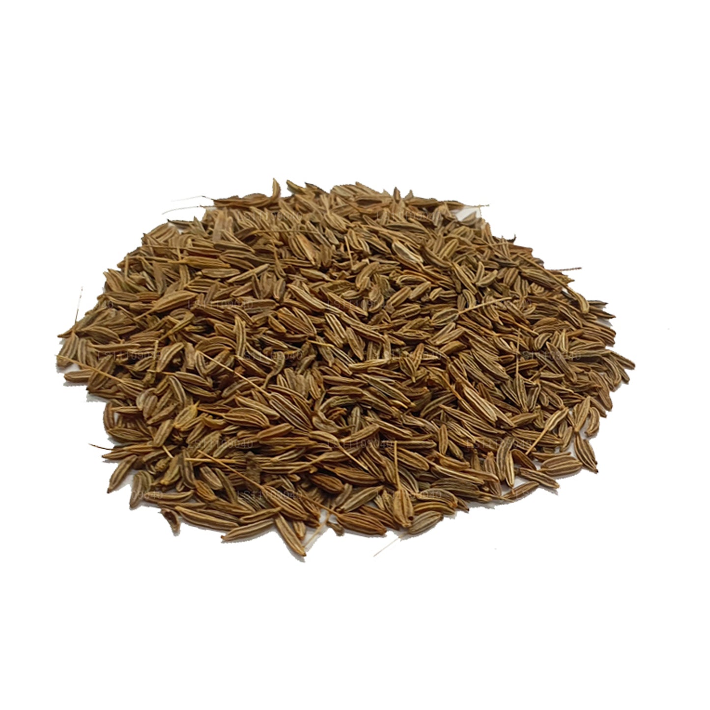 Lakpura Fennel Seeds Whole